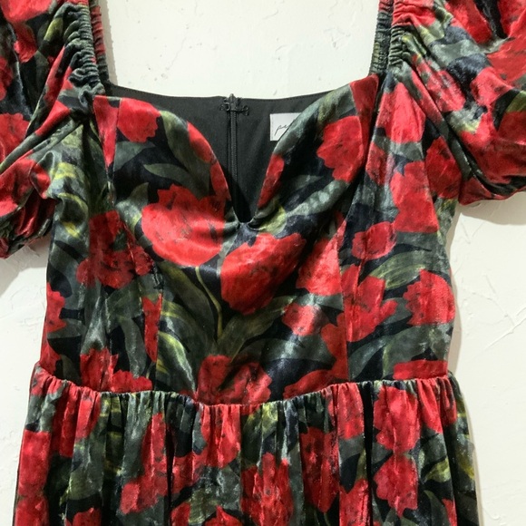 Petal & Pup Anders Floral Burnout Velvet Minidress Black Red Sz Small - Picture 7 of 14